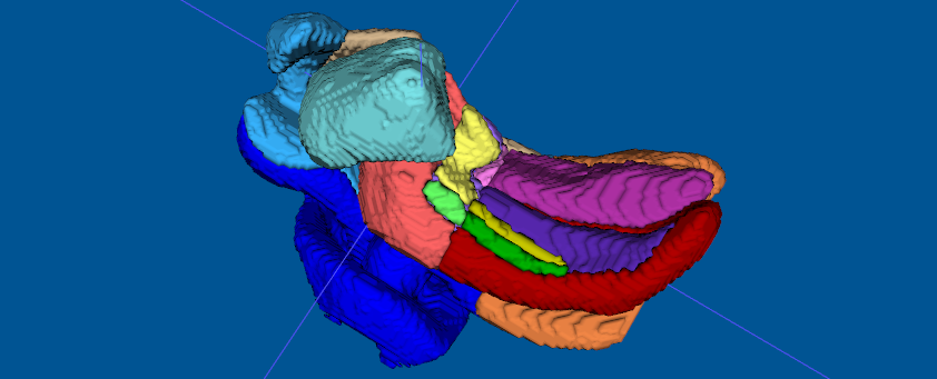 figure image